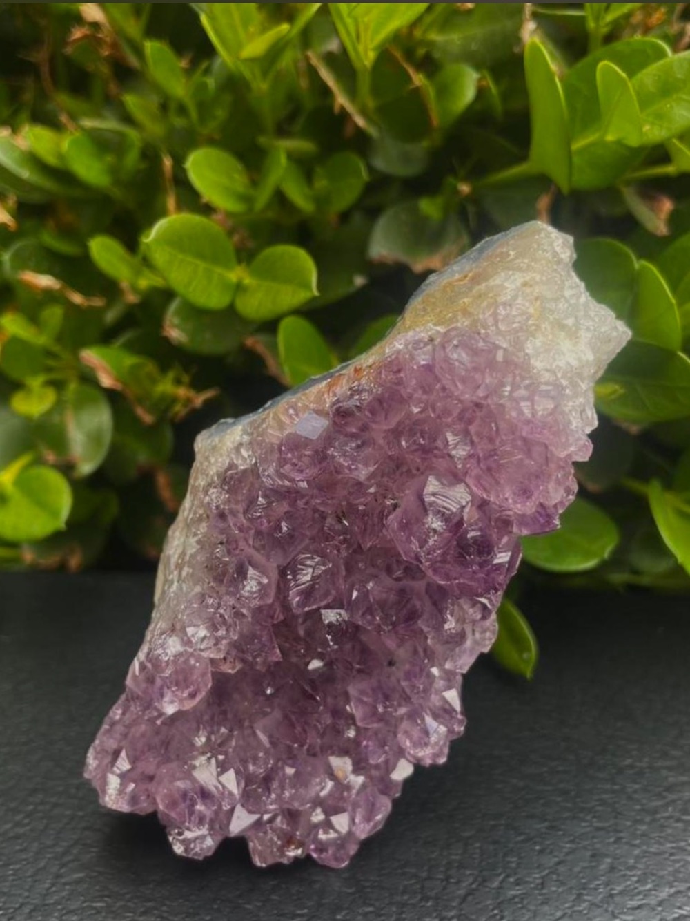 Amethyst Crystal Cluster - Purple Geode Specimen